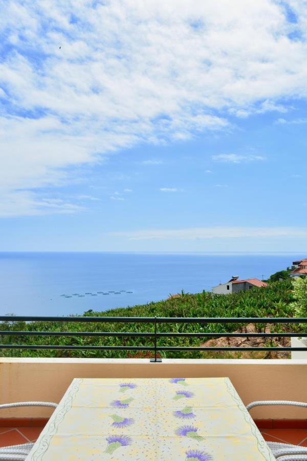 Jardim Do Arco "Esmee" Appartement Arco da Calheta  Buitenkant foto