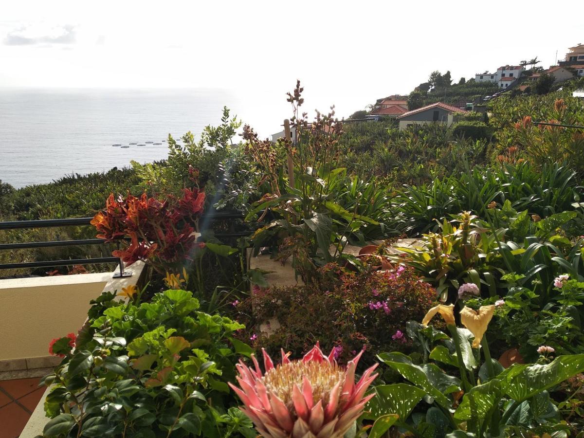 Jardim Do Arco "Esmee" Appartement Arco da Calheta  Buitenkant foto