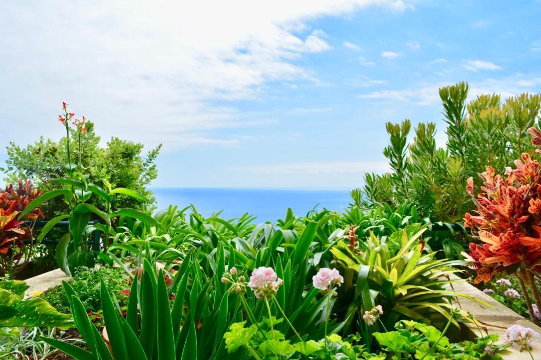 Jardim Do Arco "Esmee" Appartement Arco da Calheta  Buitenkant foto