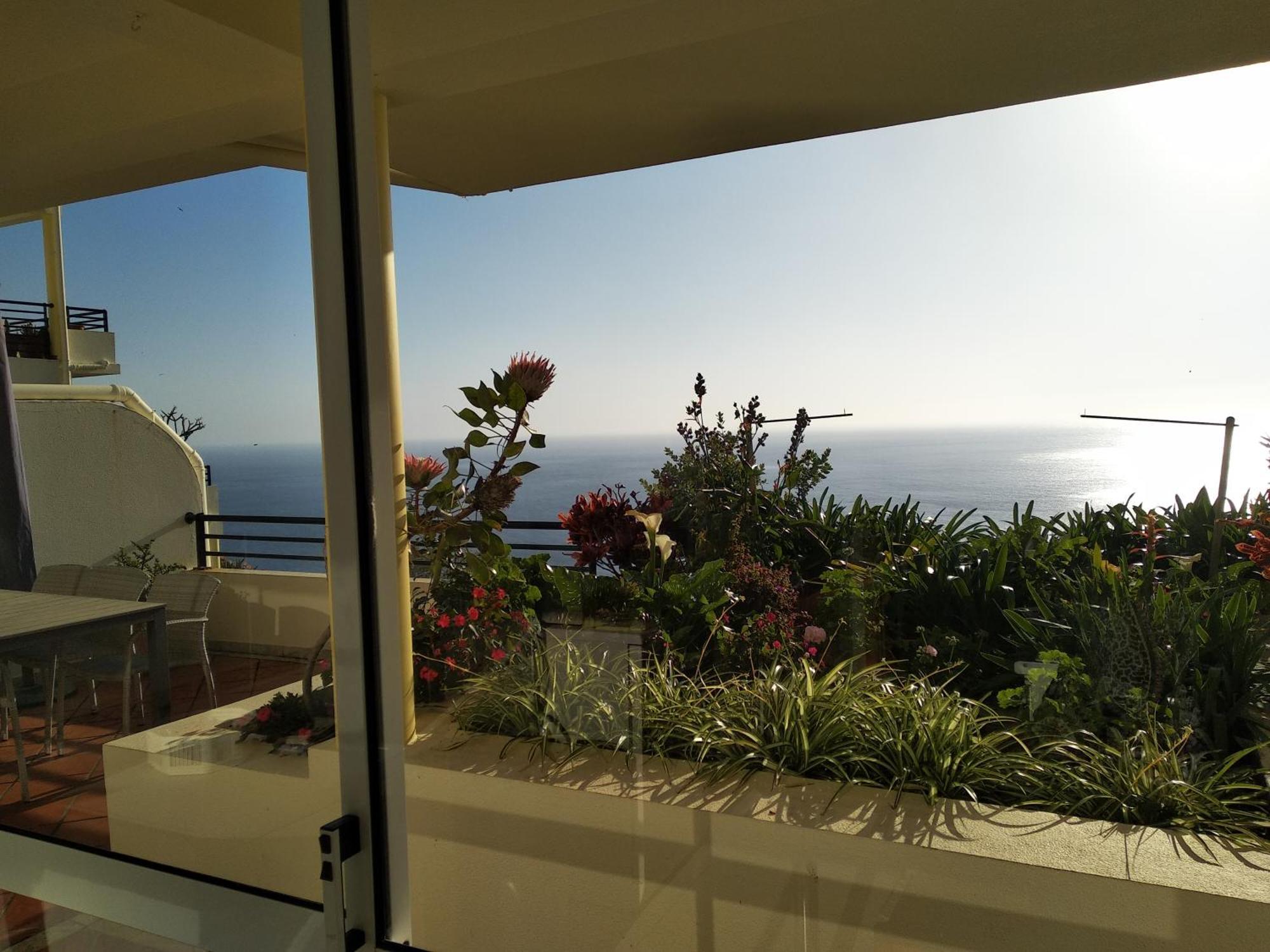 Jardim Do Arco "Esmee" Appartement Arco da Calheta  Buitenkant foto