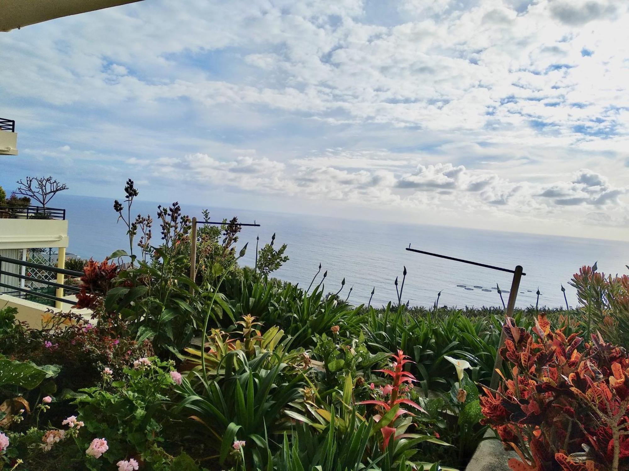 Jardim Do Arco "Esmee" Appartement Arco da Calheta  Buitenkant foto