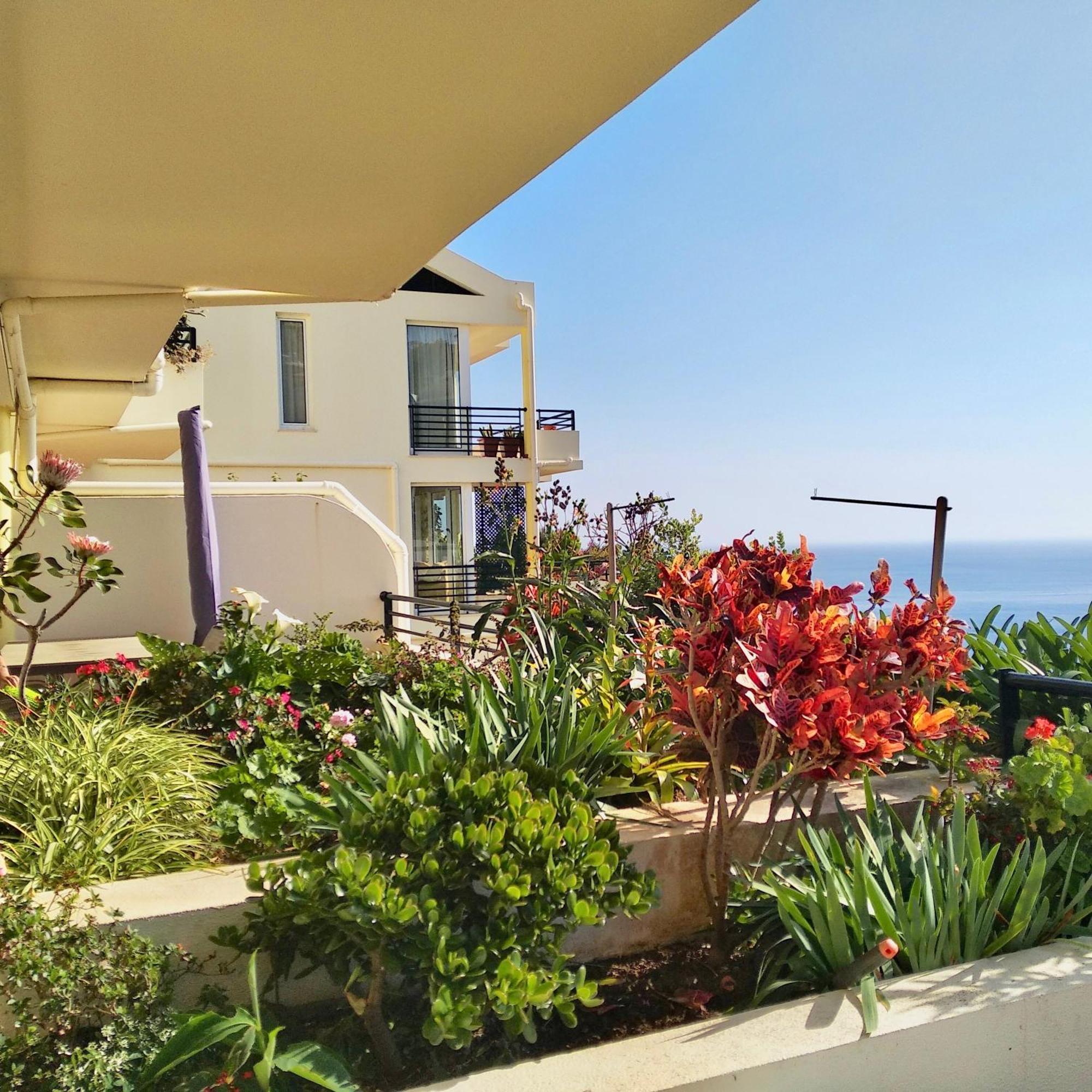 Jardim Do Arco "Esmee" Appartement Arco da Calheta  Buitenkant foto